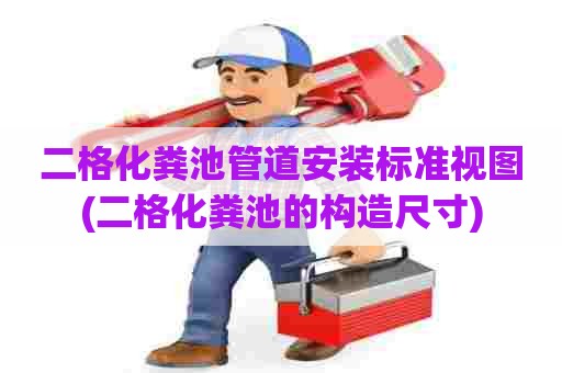 二格化粪池管道安装标准视图(二格化粪池的构造尺寸)