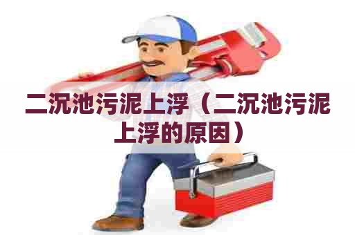 二沉池污泥上浮（二沉池污泥上浮的原因）