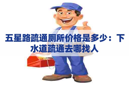 五星路疏通厕所价格是多少：下水道疏通去哪找人