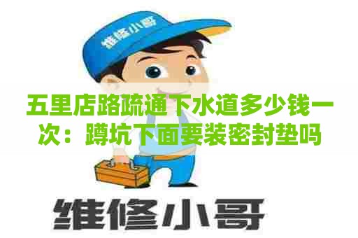 五里店路疏通下水道多少钱一次：蹲坑下面要装密封垫吗