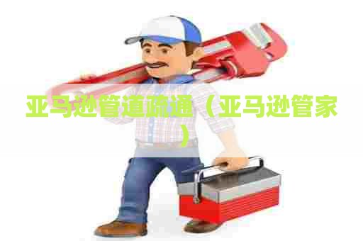亚马逊管道疏通(亚马逊管家) 亚马逊管道疏通(亚马逊管家)