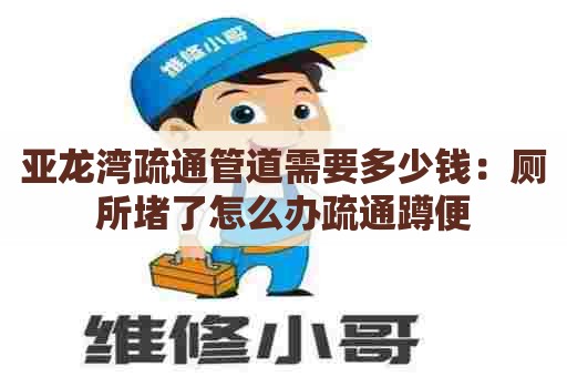 亚龙湾疏通管道需要多少钱:厕所堵了怎么办疏通蹲便 亚龙湾疏通管道需要多少钱:厕所堵了怎么办疏通蹲便