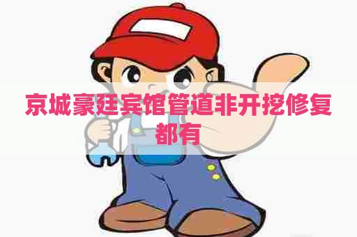 京城豪廷宾馆管道非开挖修复都有