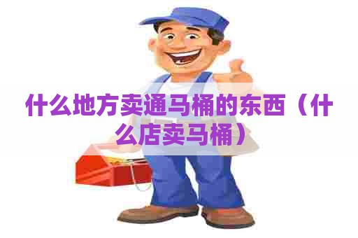 什么地方卖通马桶的东西（什么店卖马桶）