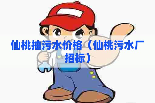 仙桃抽污水价格（仙桃污水厂招标）