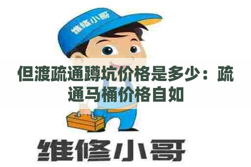 但渡疏通蹲坑价格是多少：疏通马桶价格自如