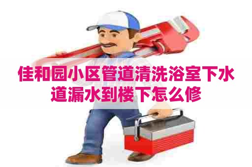佳和园小区管道清洗浴室下水道漏水到楼下怎么修
