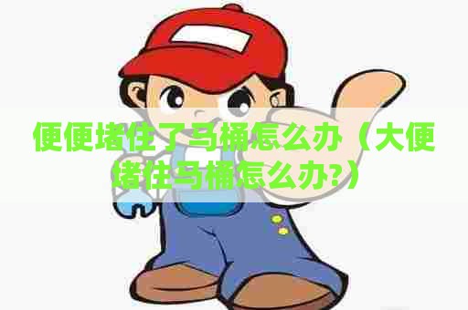 便便堵住了马桶怎么办(大便堵住马桶怎么办?) 便便堵住了马桶怎么办(大便堵住马桶怎么办?)