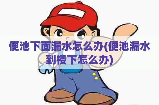 便池下面漏水怎么办(便池漏水到楼下怎么办)