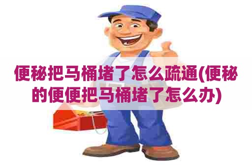 便秘把马桶堵了怎么疏通(便秘的便便把马桶堵了怎么办)