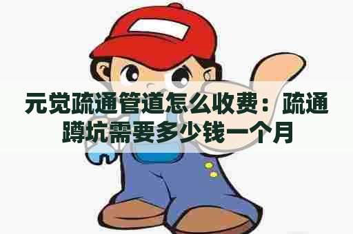 元觉疏通管道怎么收费：疏通蹲坑需要多少钱一个月