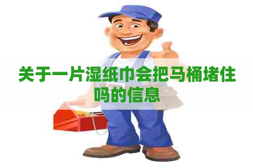 关于一片湿纸巾会把马桶堵住吗的信息