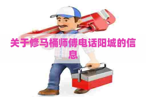 关于修马桶师傅电话阳城的信息