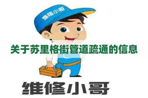 关于苏里格街管道疏通的信息