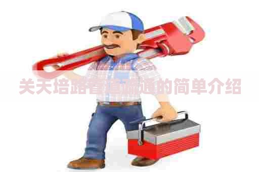 关天培路管道疏通的简单介绍