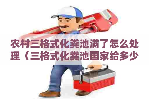 农村三格式化粪池满了怎么处理（三格式化粪池国家给多少钱）