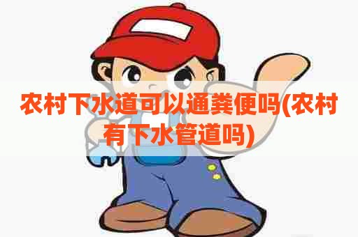 农村下水道可以通粪便吗(农村有下水管道吗)