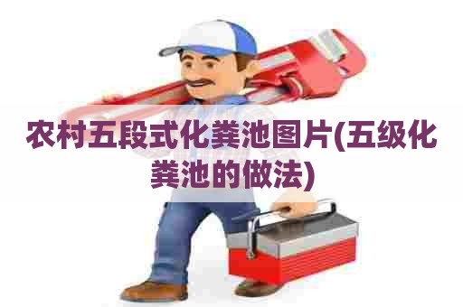 农村五段式化粪池图片(五级化粪池的做法)