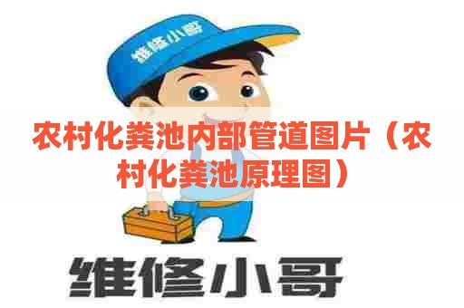 农村化粪池内部管道图片（农村化粪池原理图）