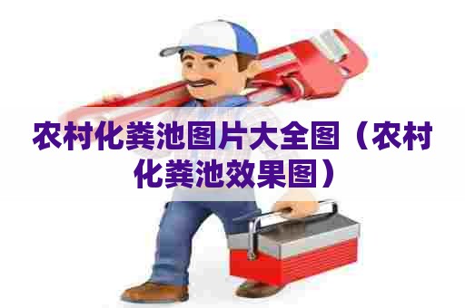 农村化粪池图片大全图（农村化粪池效果图）