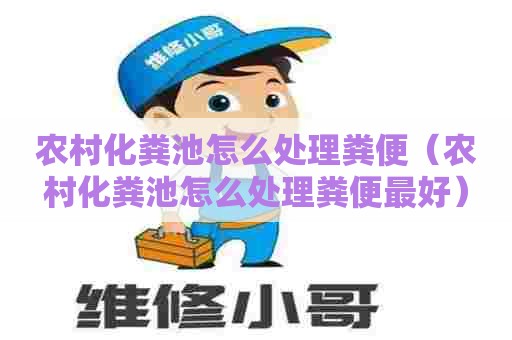 农村化粪池怎么处理粪便（农村化粪池怎么处理粪便最好）