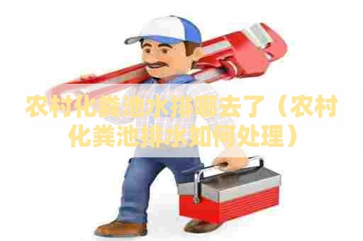 农村化粪池水排哪去了（农村化粪池排水如何处理）