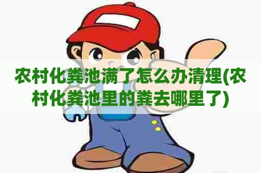 农村化粪池满了怎么办清理(农村化粪池里的粪去哪里了)