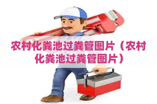 农村化粪池过粪管图片(农村化粪池过粪管图片) 农村化粪池过粪管图片(农村化粪池过粪管图片)