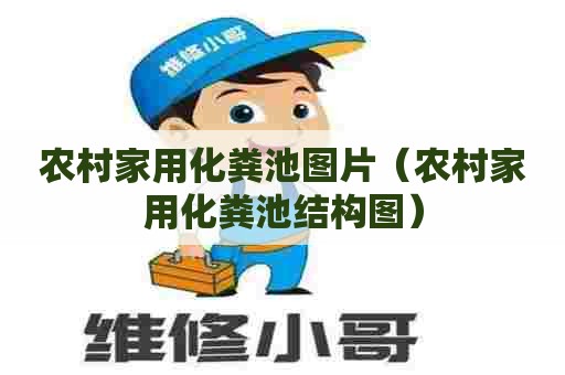 农村家用化粪池图片（农村家用化粪池结构图）