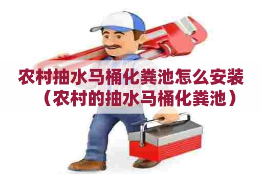 农村抽水马桶化粪池怎么安装（农村的抽水马桶化粪池）