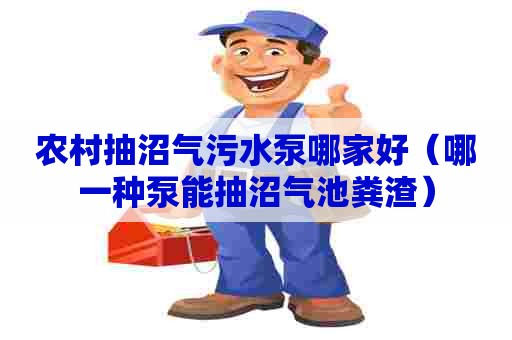 农村抽沼气污水泵哪家好（哪一种泵能抽沼气池粪渣）