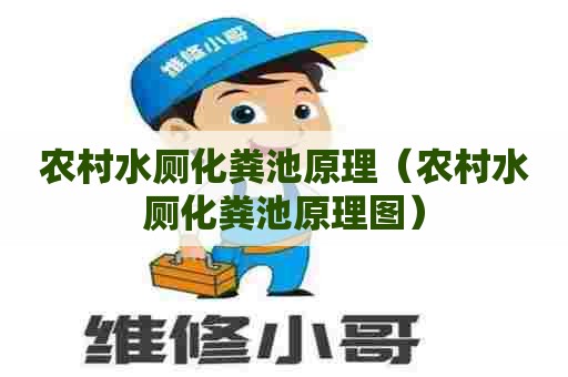 农村水厕化粪池原理（农村水厕化粪池原理图）