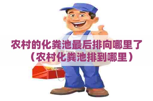 农村的化粪池最后排向哪里了(农村化粪池排到哪里) 农村的化粪池最后排向哪里了(农村化粪池排到哪里)