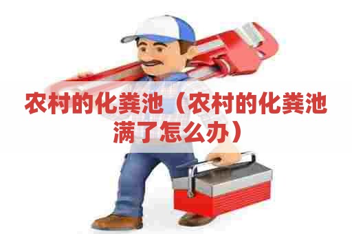 农村的化粪池（农村的化粪池满了怎么办）