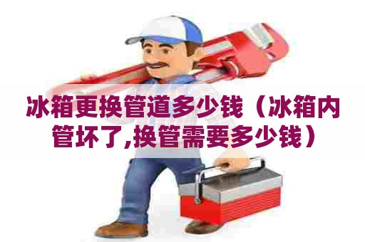 冰箱更换管道多少钱（冰箱内管坏了,换管需要多少钱）
