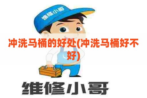 冲洗马桶的好处(冲洗马桶好不好)