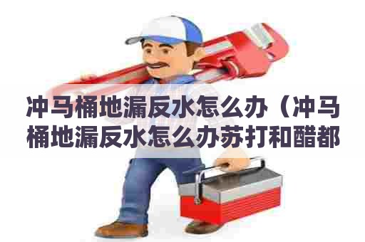 冲马桶地漏反水怎么办（冲马桶地漏反水怎么办苏打和醋都没用）