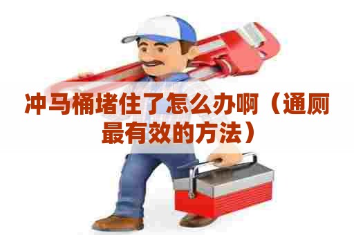 冲马桶堵住了怎么办啊(通厕最有效的方法) 冲马桶堵住了怎么办啊(通厕最有效的方法)