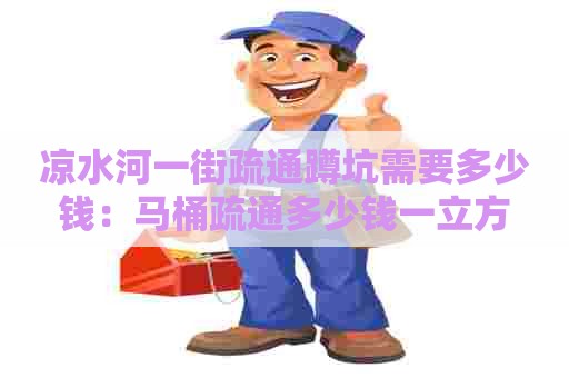 凉水河一街疏通蹲坑需要多少钱:马桶疏通多少钱一立方 凉水河一街疏通蹲坑需要多少钱:马桶疏通多少钱一立方