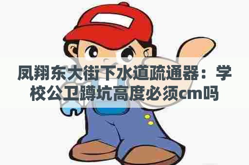 凤翔东大街下水道疏通器：学校公卫蹲坑高度必须cm吗