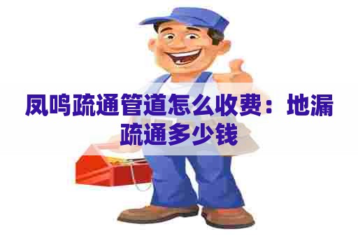 凤鸣疏通管道怎么收费：地漏疏通多少钱