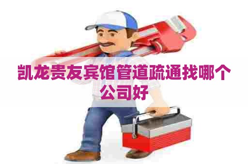 凯龙贵友宾馆管道疏通找哪个公司好