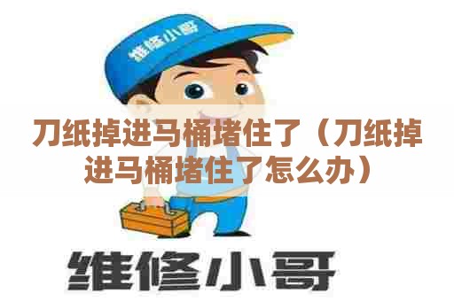 刀纸掉进马桶堵住了（刀纸掉进马桶堵住了怎么办）