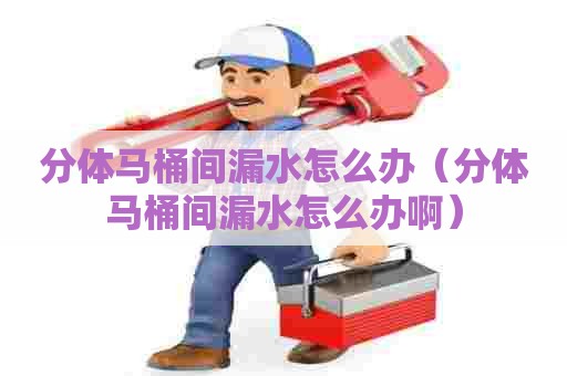 分体马桶间漏水怎么办(分体马桶间漏水怎么办啊) 分体马桶间漏水怎么办(分体马桶间漏水怎么办啊)