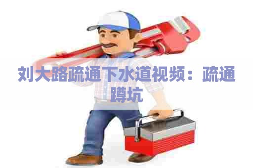 刘大路疏通下水道视频:疏通蹲坑 刘大路疏通下水道视频:疏通蹲坑