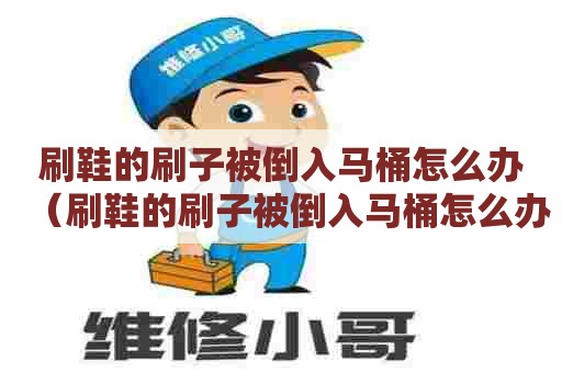 刷鞋的刷子被倒入马桶怎么办（刷鞋的刷子被倒入马桶怎么办啊）
