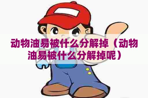 动物油易被什么分解掉(动物油易被什么分解掉呢) 动物油易被什么分解掉(动物油易被什么分解掉呢)