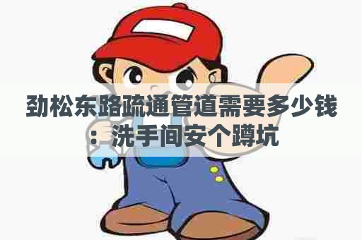 劲松东路疏通管道需要多少钱：洗手间安个蹲坑