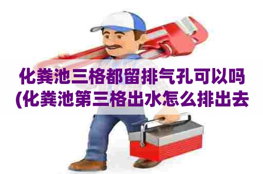 化粪池三格都留排气孔可以吗(化粪池第三格出水怎么排出去)