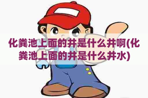 化粪池上面的井是什么井啊(化粪池上面的井是什么井水)